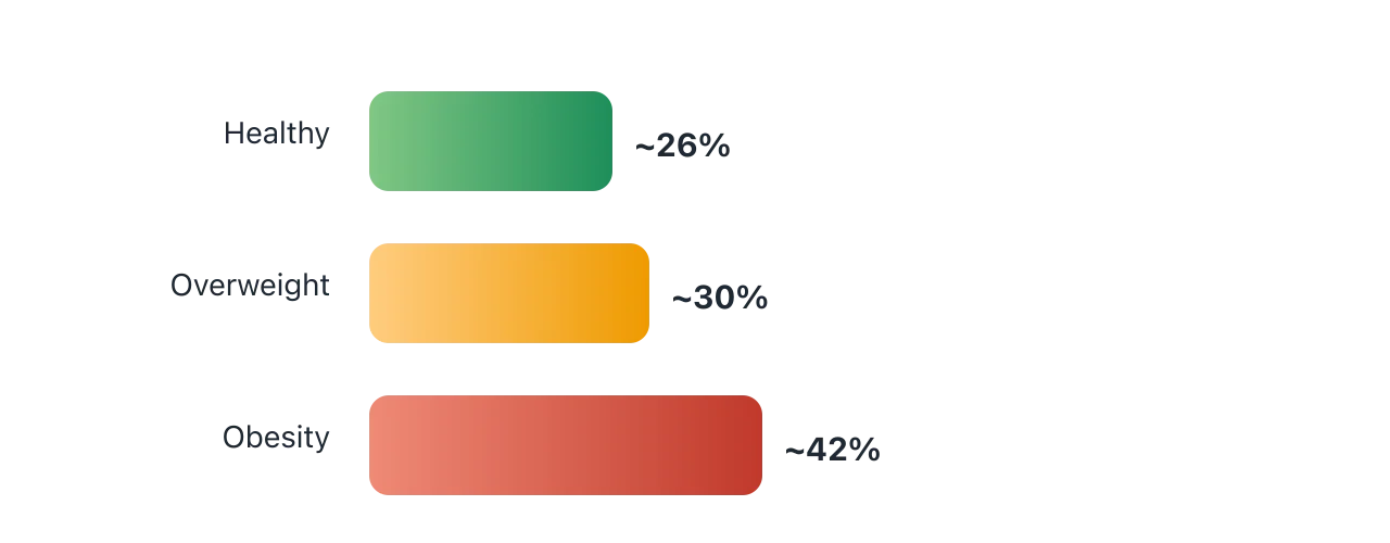 An illustrative bar chart: about a quarter of adults sit in the healthy range, roughly three in ten are overweight, and around four in ten are in the obesity range. Illustration by BMI Tracker - bmi-tracker.com