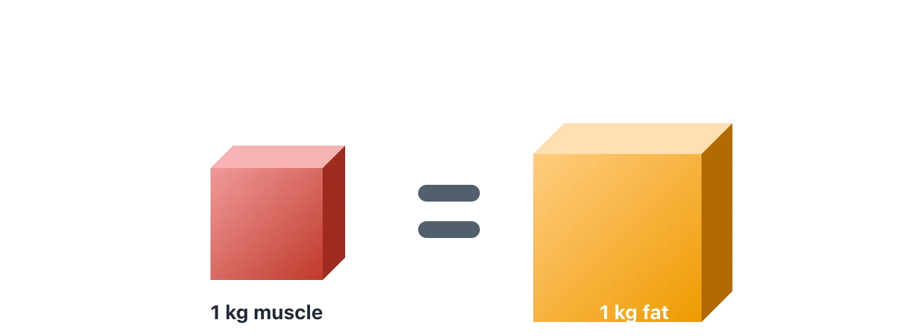 Two three-dimensional blocks joined by an equals sign. The muscle block is smaller than the fat block, yet an equals sign shows they weigh the same. Illustration by BMI Tracker - bmi-tracker.com
