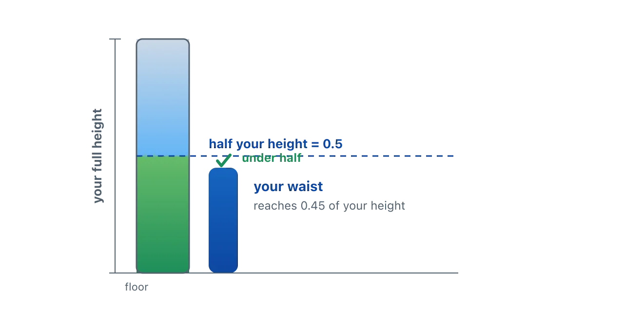 A vertical height bar split at its midpoint into an upper and a lower half. A waist bar rises from the floor to only 0.45 of the height, stopping below the halfway line, marked as under half. Illustration by BMI Tracker - bmi-tracker.com