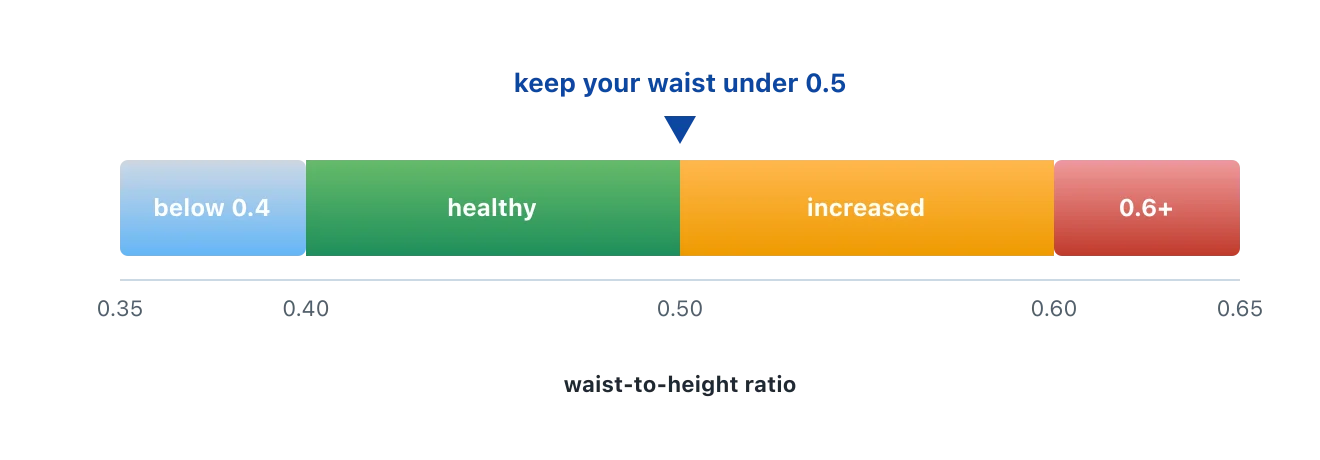 A horizontal coloured scale. Below 0.4 is under the healthy range, 0.4 to 0.49 is healthy in green, 0.5 to 0.59 is increased risk in amber, and 0.6 and above is the highest band in red. A marker highlights the 0.5 line. Illustration by BMI Tracker - bmi-tracker.com