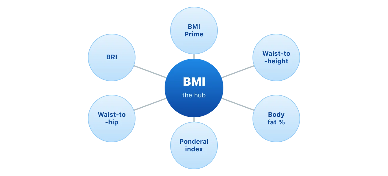 A hub-and-spoke diagram with BMI in the middle, surrounded by BMI Prime, Ponderal Index, waist-to-height ratio, waist-to-hip ratio, body-fat percentage, and Body Roundness Index. Illustration by BMI Tracker - bmi-tracker.com
