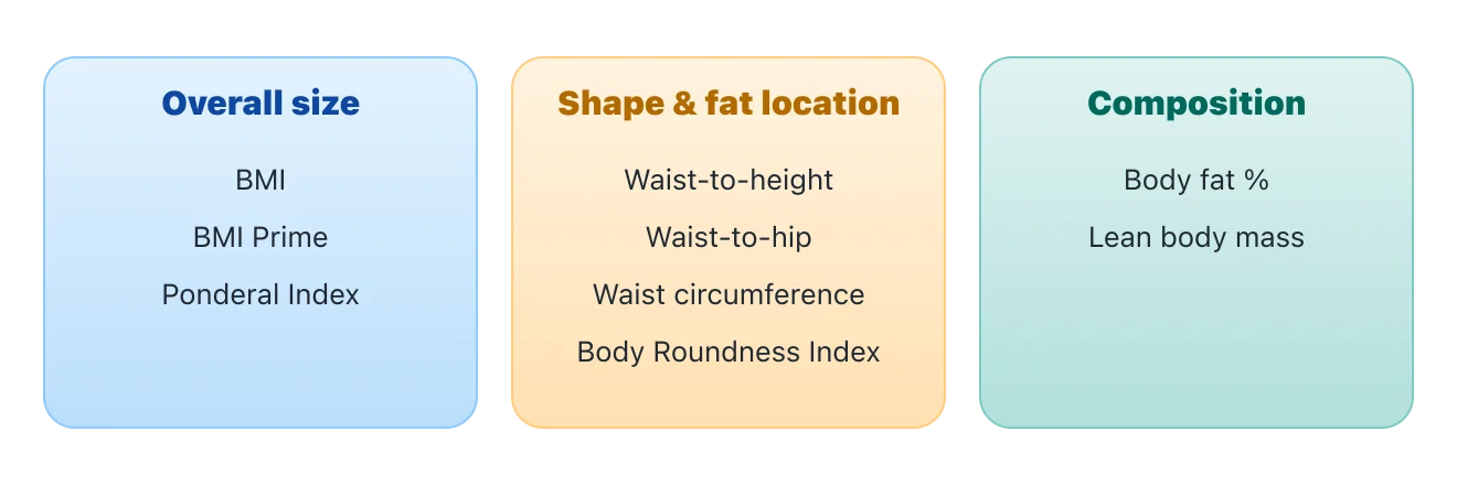 Three groups: size measures include BMI, BMI Prime and the Ponderal Index; shape measures include waist-to-height, waist-to-hip, waist circumference and BRI; composition measures include body-fat percentage and lean body mass. Illustration by BMI Tracker - bmi-tracker.com