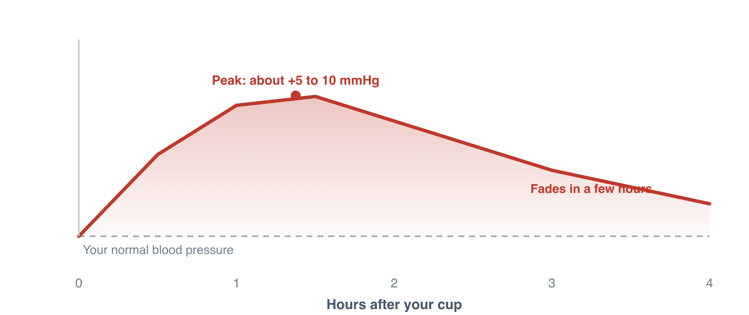 A curve showing blood pressure rising about 5 to 10 mmHg above baseline within an hour of a cup of coffee, holding briefly, then returning close to baseline within about three to four hours. Illustration by BMI Tracker - bmi-tracker.com