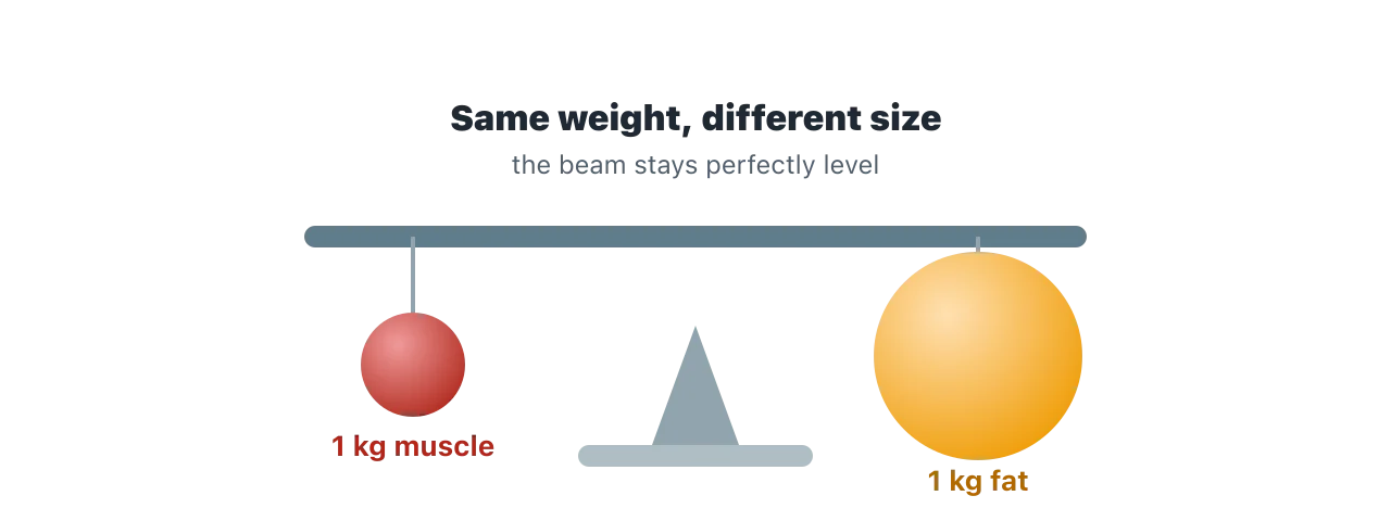A level balance scale holding a small dense ball of muscle on one side and a much larger puff of fat on the other, both labelled one kilogram, showing equal weight but very different size. Illustration by BMI Tracker - bmi-tracker.com