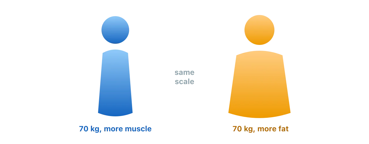 Two figures that weigh the same on the scale: the one with more muscle is slimmer, and the one with more fat is larger, illustrating that identical weight can look very different. Illustration by BMI Tracker - bmi-tracker.com