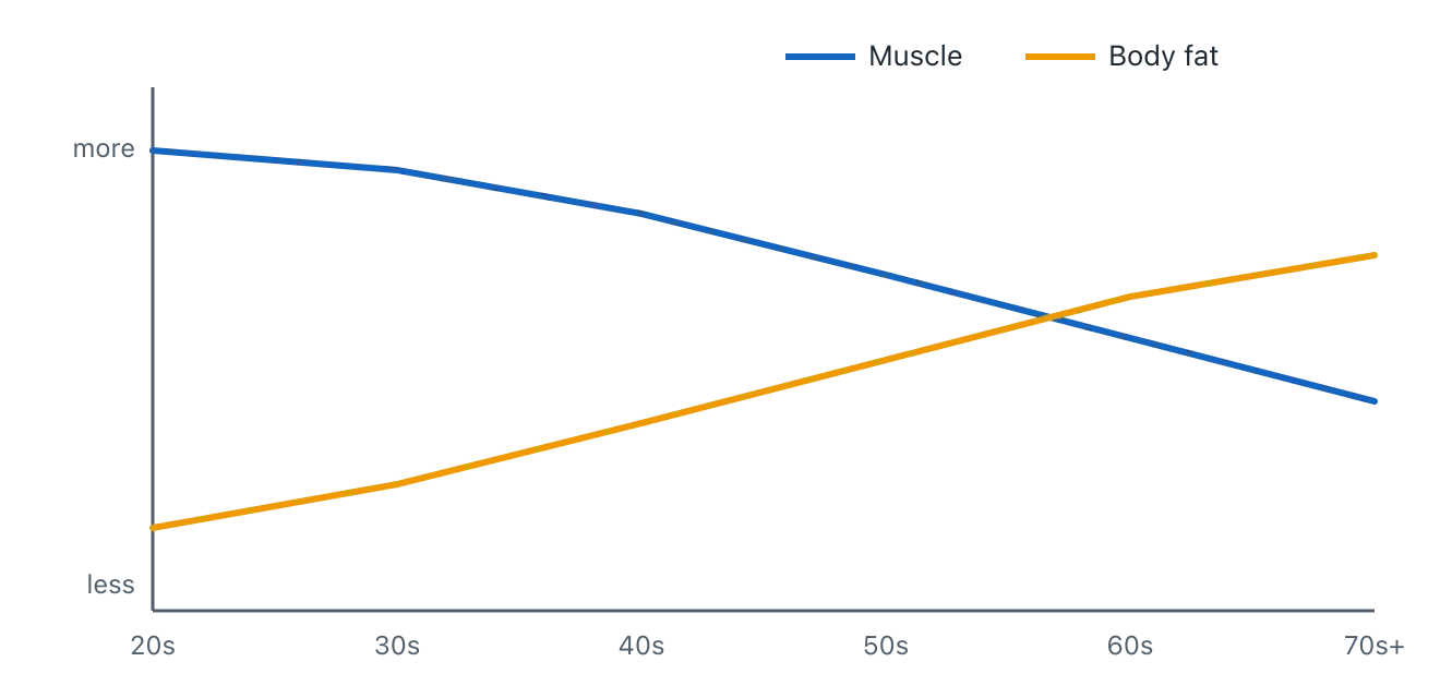 A schematic line chart in which muscle's share of body weight declines from the twenties to the seventies while body fat's share rises, the two lines crossing around midlife. Illustration by BMI Tracker - bmi-tracker.com