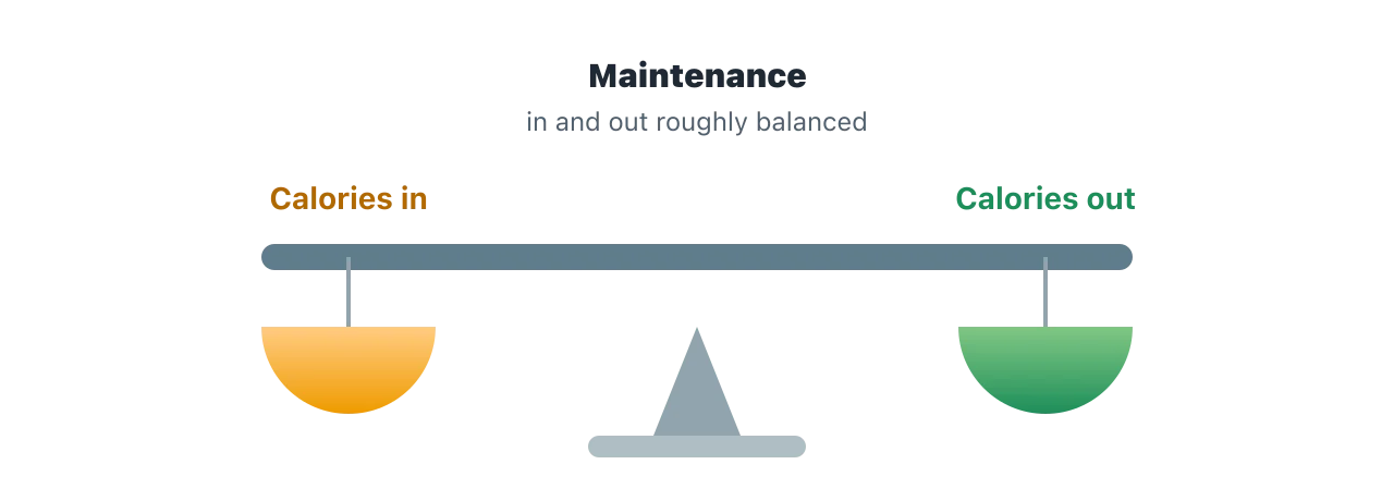 A level balance scale with calories in on one side and calories out on the other, showing that maintenance is the point where the two are roughly equal. Illustration by BMI Tracker - bmi-tracker.com