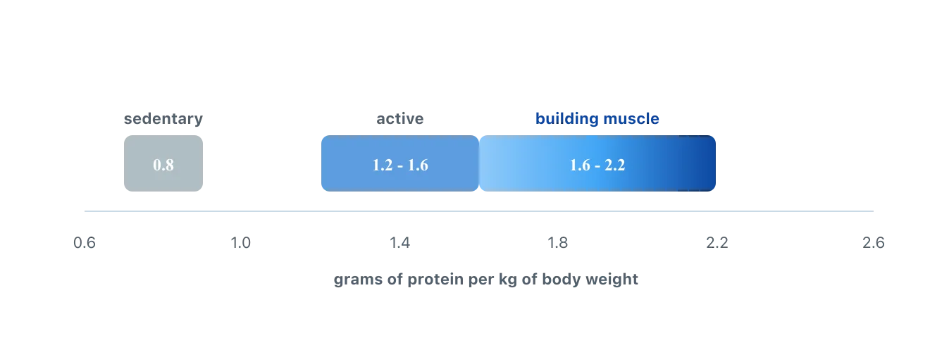 A banded scale: about 0.8 grams per kilogram for a sedentary adult, 1.2 to 1.6 for general activity, and 1.6 to 2.2 for building muscle. Illustration by BMI Tracker - bmi-tracker.com