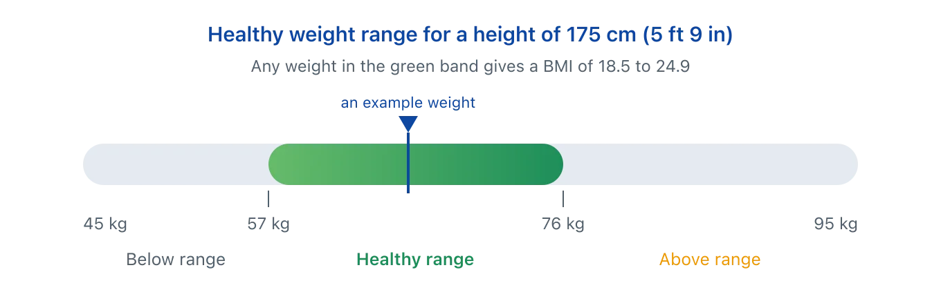 A horizontal bar showing weights from 45 to 95 kilograms for a height of 175 centimetres. A wide green band in the middle marks the healthy range of about 57 to 76 kilograms, and a marker inside it shows one example weight, illustrating that a healthy weight is a range and not one number. Illustration by BMI Tracker - bmi-tracker.com