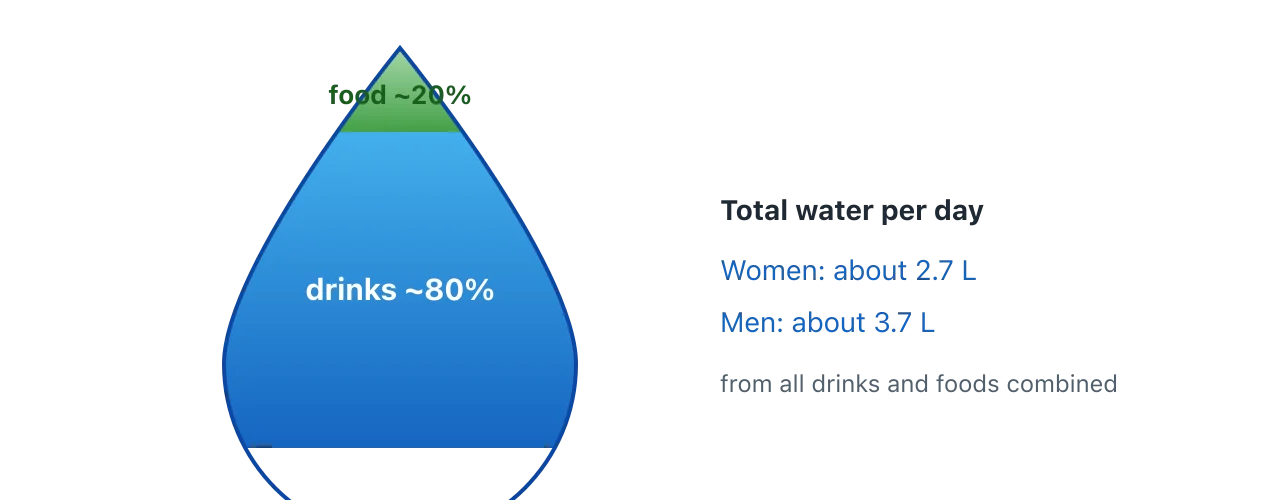 A droplet showing that roughly 80 percent of daily water comes from drinks and about 20 percent from food, totalling around 2.7 litres for women and 3.7 for men. Illustration by BMI Tracker - bmi-tracker.com
