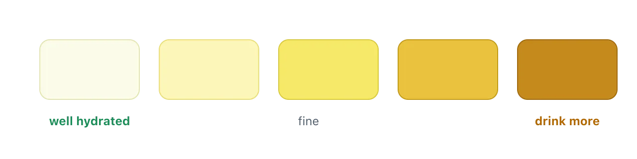A scale of five shades from very pale, meaning well hydrated, to dark amber, meaning drink more. Illustration by BMI Tracker - bmi-tracker.com