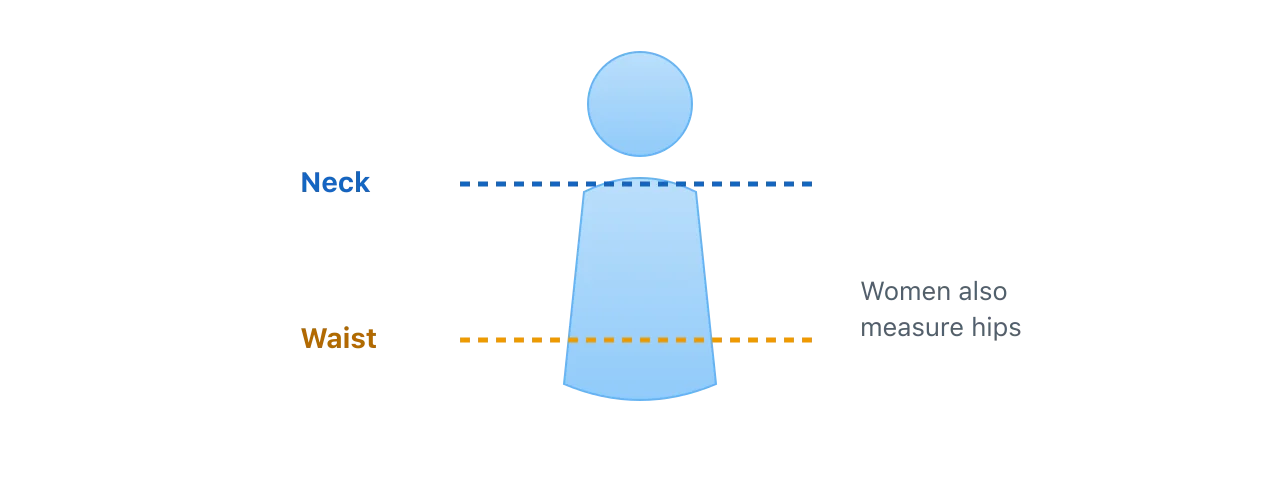 A simple figure with measurement bands at the neck and the waist, the key circumferences used to estimate body fat with a tape measure. Illustration by BMI Tracker - bmi-tracker.com