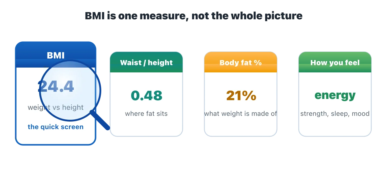 Four health-measure cards in a row: BMI, waist-to-height ratio, body fat percentage, and how you feel. A magnifying glass rests over the BMI card, showing it is just one tool among several rather than a complete verdict on health. Illustration by BMI Tracker - bmi-tracker.com