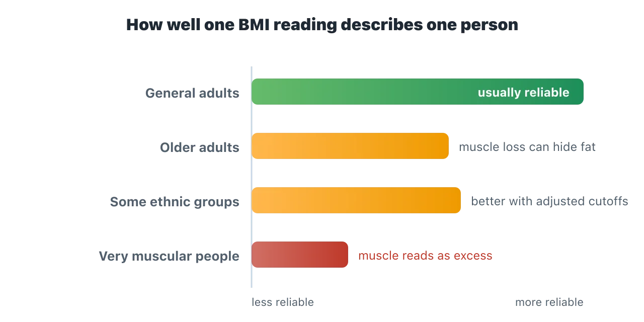 A horizontal bar chart. BMI is usually reliable for the general adult population, moderately reliable for older adults and for some ethnic groups when cutoffs are adjusted, and least reliable for very muscular people, whose muscle can read as excess weight. Illustration by BMI Tracker - bmi-tracker.com