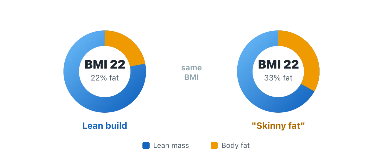 Two donut charts. Both people have a BMI of 22, but the first is about 22 percent body fat while the second is about 33 percent, showing that identical BMI can hide very different body composition. Illustration by BMI Tracker - bmi-tracker.com