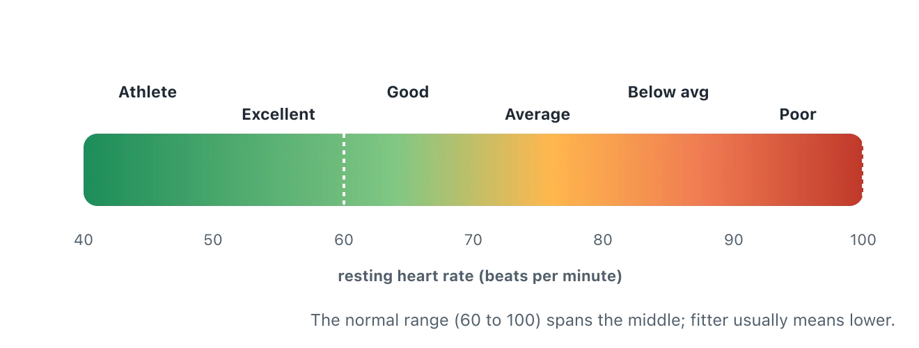 A banded bar showing resting heart rate from about 40 to 100 beats per minute, with the lowest rates in the athletic and excellent bands and the highest in the below-average and poor bands. Illustration by BMI Tracker - bmi-tracker.com