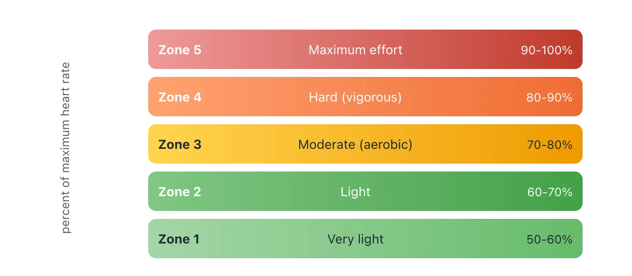 Five stacked zones from very light at 50 to 60 percent of maximum heart rate up to maximum effort at 90 to 100 percent, with moderate and vigorous exercise falling in the middle zones. Illustration by BMI Tracker - bmi-tracker.com