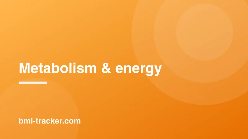 Metabolism & energy guides on BMI Tracker - bmi-tracker.com