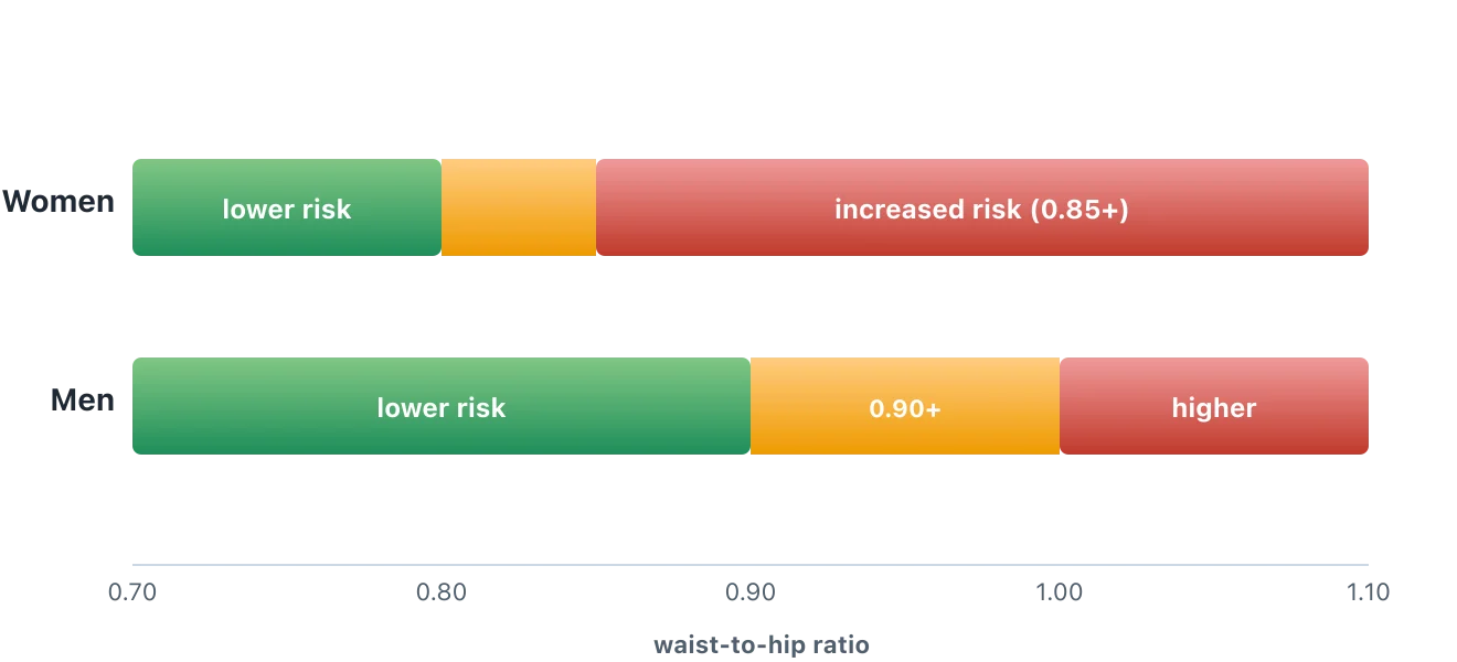 Two banded bars. For women, risk rises above about 0.85; for men, above about 0.90. Lower ratios sit in the lower-risk green band. Illustration by BMI Tracker - bmi-tracker.com
