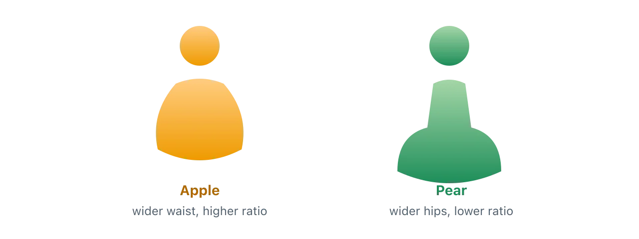 Two figures: an apple shape carrying more width at the waist, and a pear shape carrying more width at the hips. Illustration by BMI Tracker - bmi-tracker.com
