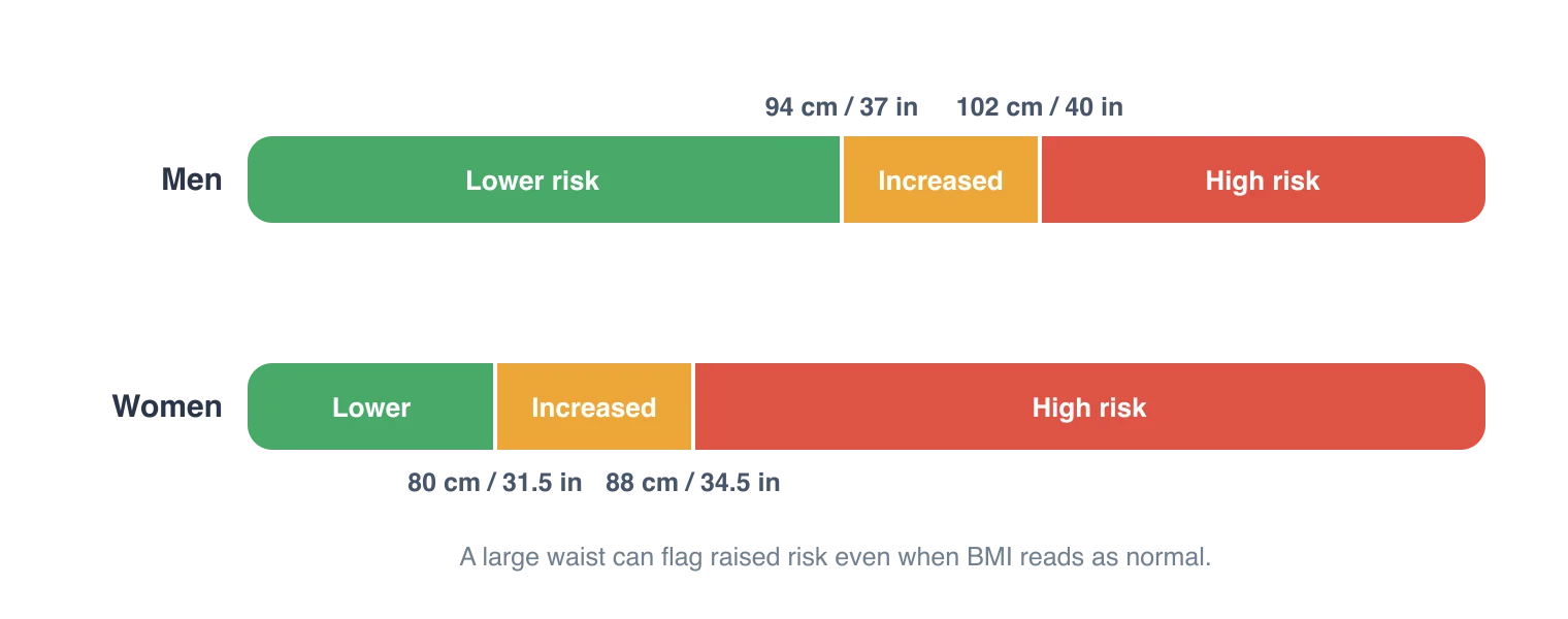 Risk bands based on waist circumference. For men, risk is lower below 94 centimetres, increased from 94, and high above 102 centimetres. For women, risk is lower below 80 centimetres, increased from 80, and high above 88 centimetres. These thresholds flag raised risk even when BMI looks normal. Illustration by BMI Tracker - bmi-tracker.com
